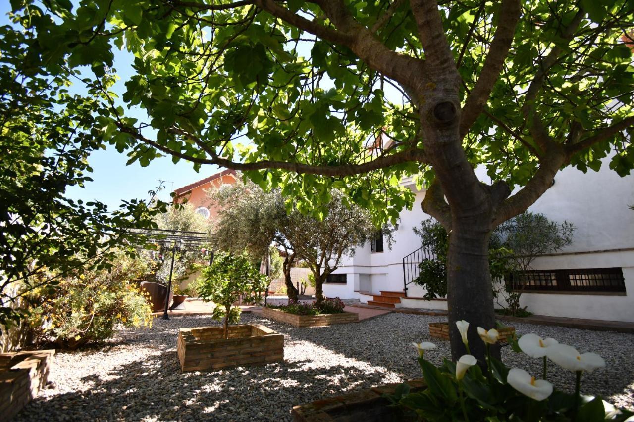Villa Maria, Piscina Y Spa Exterior Privado Belicena Dış mekan fotoğraf